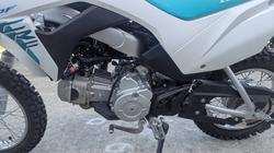 2025 Honda CRF110F White