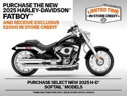 Harley-Davidson FLFB Fat Boy (117)