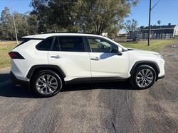 2020 Toyota RAV4 Cruiser