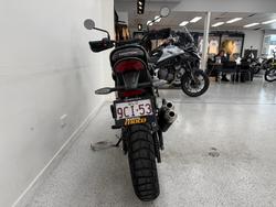 2025 Triumph 2025 Triumph 400CC SCRAMBLER 400 WHITE/GREEN