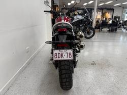 2024 Triumph SCRAMBLER 1200 X CARNIVAL R