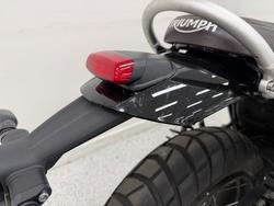 2024 Triumph SCRAMBLER 1200 X CARNIVAL R