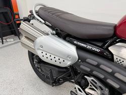 2024 Triumph SCRAMBLER 1200 X CARNIVAL R