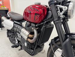 2024 Triumph SCRAMBLER 1200 X CARNIVAL R