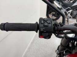 2024 Triumph SCRAMBLER 1200 X CARNIVAL R