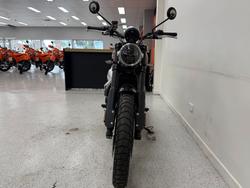 2024 Triumph SCRAMBLER 1200 X CARNIVAL R