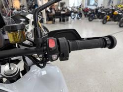 2026 Triumph TIGER 1200 GT PRO SNOWDONIA WHITE