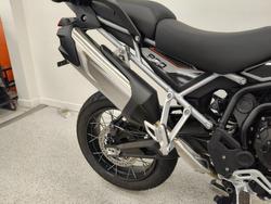 2025 Triumph TIGER 900 RALLY PRO Ash Grey / Intense Orange