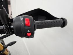 2025 Triumph SCRAMBLER 400 X CARNIVAL R