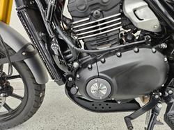 2025 Triumph SCRAMBLER 400 X CARNIVAL R