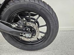 2025 Triumph SCRAMBLER 400 X CARNIVAL R