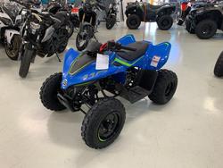 CFMOTO C Force 110