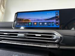 2025 LDV Terron 9 Origin