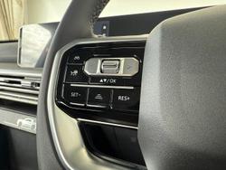 2025 LDV Terron 9 Origin