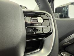 2025 LDV Terron 9 Origin