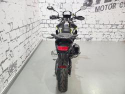 2025 Triumph Tiger 900 Rally Pro Tiger