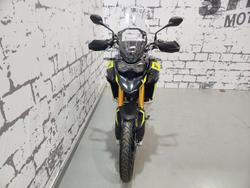 2025 Triumph Tiger 900 Rally Pro Tiger
