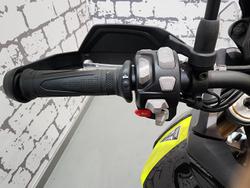 2025 Triumph Tiger 900 Rally Pro Tiger