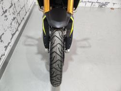 2025 Triumph Tiger 900 Rally Pro Tiger