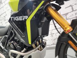 2025 Triumph Tiger 900 Rally Pro Tiger