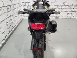 2025 Triumph Tiger 900 Rally Pro Tiger