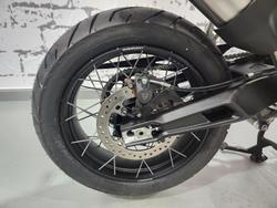 2025 Triumph Tiger 900 Rally Pro Tiger