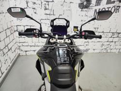 2025 Triumph Tiger 900 Rally Pro Tiger
