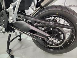 2025 Triumph Tiger 900 Rally Pro Tiger