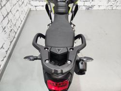 2025 Triumph Tiger 900 Rally Pro Tiger