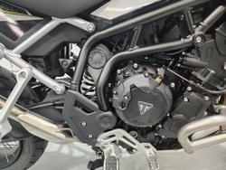 2025 Triumph Tiger 900 Rally Pro Tiger