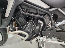 2025 Triumph Tiger 900 Rally Pro Tiger