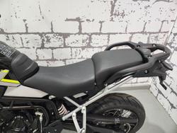2025 Triumph Tiger 900 Rally Pro Tiger