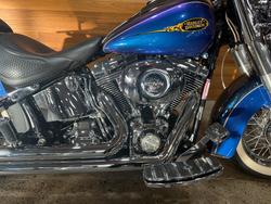 2009 Harley-davidson FLSTN SOFTAIL DELUXE Blue