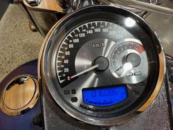 2009 Harley-davidson FLSTN SOFTAIL DELUXE Blue