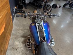2009 Harley-davidson FLSTN SOFTAIL DELUXE Blue