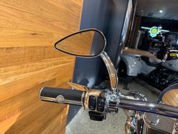 2009 Harley-davidson FLSTN SOFTAIL DELUXE Blue
