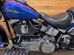 2009 Harley-davidson FLSTN SOFTAIL DELUXE Blue