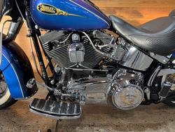 2009 Harley-davidson FLSTN SOFTAIL DELUXE Blue