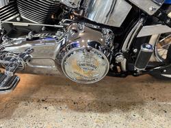 2009 Harley-davidson FLSTN SOFTAIL DELUXE Blue