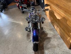 2009 Harley-davidson FLSTN SOFTAIL DELUXE Blue