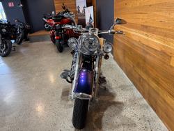 2009 Harley-davidson FLSTN SOFTAIL DELUXE Blue