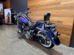 2009 Harley-davidson FLSTN SOFTAIL DELUXE Blue