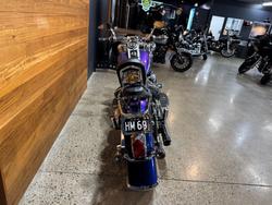 2009 Harley-davidson FLSTN SOFTAIL DELUXE Blue