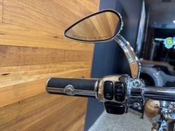 2009 Harley-davidson FLSTN SOFTAIL DELUXE Blue