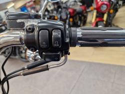 2006 Harley-Davidson FLSTF FAT BOY BLUE