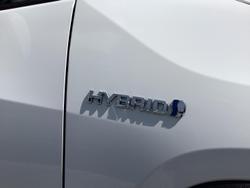 2023 Toyota RAV4 Cruiser