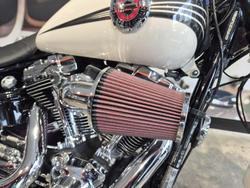 2014 Harley-Davidson Breakout 103 (FXSB) Softail Gold