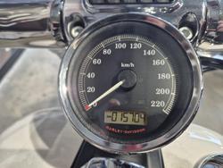 2014 Harley-Davidson Breakout 103 (FXSB) Softail Gold