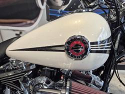 2014 Harley-Davidson Breakout 103 (FXSB) Softail Gold