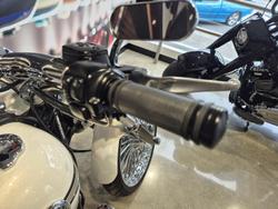2014 Harley-Davidson Breakout 103 (FXSB) Softail Gold